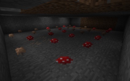 Cum să crească ciuperci în Minecraft (Minecraft) Cum să crească ciuperci în Minecraft