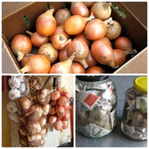 Cum se păstrează legumele în pivniță (legume) Cum se păstrează legumele în pivniță