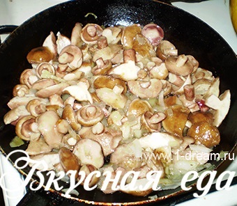 Cum de a prăji ciuperci cu cartofi - mâncare delicioasă (friptură) Cum de a prăji ciuperci cu cartofi - alimente delicioase