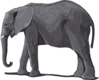 Ca elefanții trăiesc (vii) Ca elefanți trăiesc