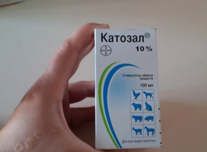 Katozal pentru câini (câini) Katozal pentru câini