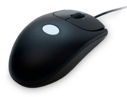 Tastatura și mouse-ul - dispozitivul principal de control al computerului și intrarea de date (mouse-ul) Tastatura și mouse-ul - principal de control al calculatorului și dispozitivul de intrare a datelor