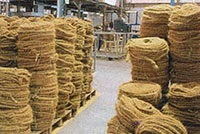 fibre de nucă de cocos (cocos), un articol mare „Enciclopedia“ (utilizat ca material de umplutură) fibre de nucă de cocos (cocos), un articol mare „Enciclopedia“