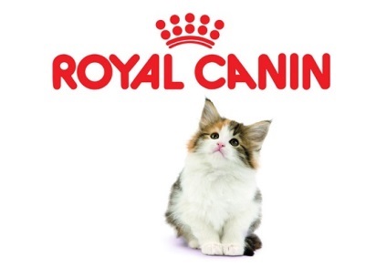 Hrană Royal Canin Kitten - nutriție la orice vârstă (pian) Hrană Royal Canin Kitten - nutriție la orice vârstă