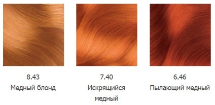 Dye par Garnier Auliya din paleta de culori (foto) (Garnier) Dye par Garnier Auliya din paleta de culori (foto)