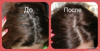Dye par Garnier Auliya din paleta de culori (foto) (Garnier) Dye par Garnier Auliya din paleta de culori (foto)