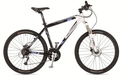 Criteriile de selectare a unei biciclete (bicicletă) Criterii pentru selectarea unei biciclete