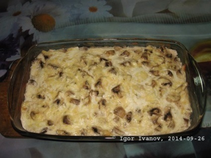 caserolă de pui cu ciuperci (ciuperci) caserola de pui cu ciuperci