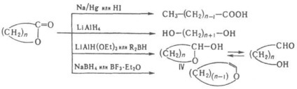 Lactone - Enciclopedia chimică