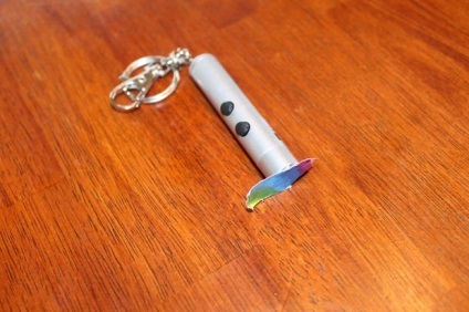 câine cu laser pointer cu propriile sale mâini (mâini) câine cu laser pointer cu propriile sale mâini