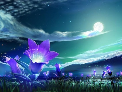 Calendar lunar grower 2017 (lunar) Calendarul lunar 2017 florărie