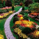 Calendar lunar grower 2017 (2017) Calendarul lunar 2017 florărie