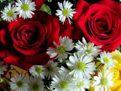 Calendar lunar grower 2017 (2017) Calendarul lunar 2017 florărie