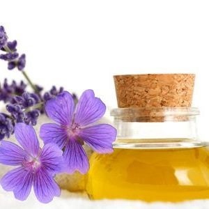 proprietăți ulei Geranium și aplicare (utilizare) proprietăți ulei Geranium și aplicații