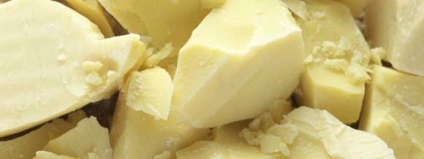 caracteristicile untului de cacao și aplicarea în cosmetice, rețete măști (ulei) Proprietăți unt de cacao și utilizarea în produsele cosmetice, retete masti