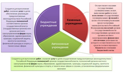 Mecanismul de finanțare în instituțiile de stat din România (instituții publice) Mecanismul instituțiilor financiare de stat din România