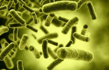 Germeni, virusuri, bacterii (virusuri) Germeni, virusuri, bacterii