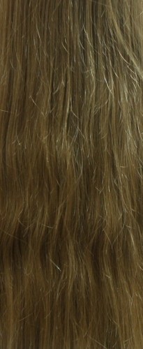 păr moleculară lustruire comentarii Loreal (păr frumos) păr moleculară lustruire comentarii Loreal