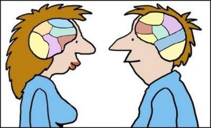 creier de sex masculin și feminin este diferența (feminin) creier de sex masculin și feminin este diferența