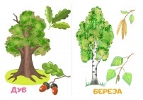 Nu poți rupe crengi și copaci - descărcare și de imprimare (ramuri de copac pentru copii) Nu poți rupe crengi și copaci - descărcare și de imprimare