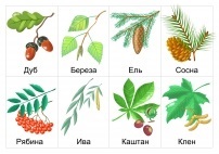 Nu poți rupe crengi și copaci - descărcare și de imprimare (nu poate) Nu poți rupe crengi și copaci - descărcare și de imprimare
