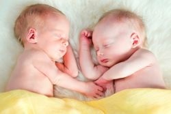 gemenii identici și fraternali (fratesti) gemeni identici și fraternali
