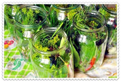 Castraveți în borcane de litru cu acid citric (castravete) Castraveți în borcane de litru cu acid citric