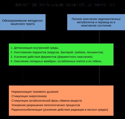 Oxidant și terapiei antioxidante (oksidantnaja terapiei antioxidante) Oxidant și terapiei antioxidante