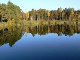 regiunea Orel a câmpului (domeniu) regiunea Orel a câmpului