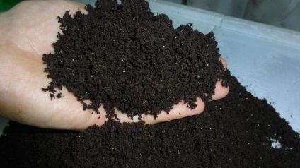 Toamna căpșuni îngrășământ tehnologie alegere hrănire (hrănire) Toamna căpșuni îngrășăminte alegere tehnologie de alimentare