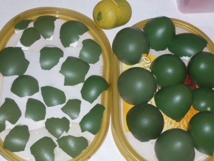 Panouri de eggshell (ou) Panouri din coji de ouă