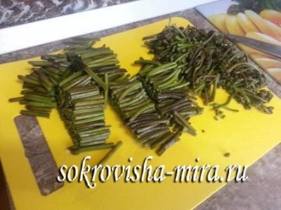 Fern colecta, sare, bucătar (utilitate) Fern colecta, sare, se fierbe