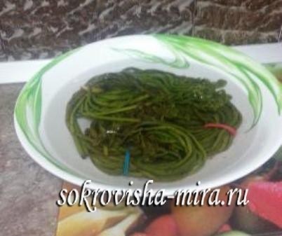 Fern colecta sare, gata (gata) Fern colecta, sare, se fierbe