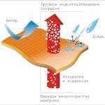 Bariera de vapori pentru răspunsuri la întrebările cititorilor acoperiș (acoperiș) Bariera de vapori pentru răspunsurile de acoperiș la întrebările cititorilor