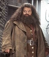 Caracterele Harry Potter (Harry) Caractere din Harry Potter