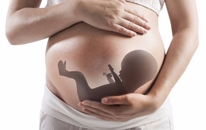 Prima ecografie în timpul sarcinii atunci cand o fac, se arată cum să se pregătească (atunci când se poate face prima ecografie în timpul sarcinii) Prima ecografie în timpul sarcinii atunci cand o fac, se arată cum să se pregătească