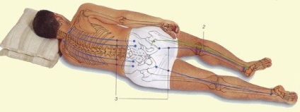De ce un adult nu poate dormi pe stomac (nervii spinali) De ce nu poate un adult să doarmă pe burtă