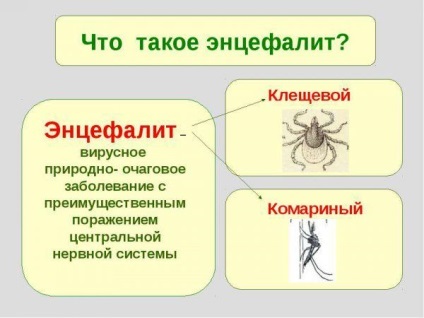 De ce sunt elevi de diferite dimensiuni (anisocoria) cauze, simptome, tratament de adult și copil (diferite) De ce sunt elevi de diferite dimensiuni (anisocoria) cauze, simptome, tratamentul unui adult și un copil,