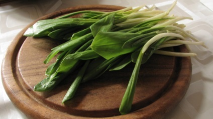 Proprietăți utile de usturoi corpul (usturoi) Proprietăți utile de usturoi pentru organism
