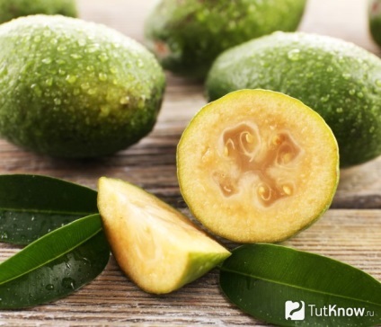 Utilizați Feijoa la corpul (numărul de componente utile) Beneficii pentru Feijoa corpului