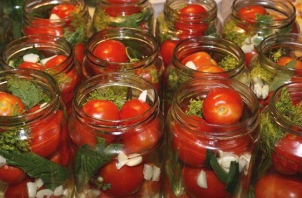 Tomatele cu blaturi morcov cele mai bune rețete (roșii) Tomate cu morcov topuri cele mai bune rețete