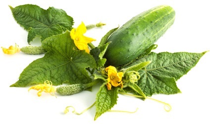 Artrita Alimentația corectă (artrita dezvoltă rezultat) nutriție adecvată pentru artrita