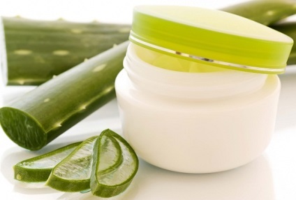 Aplicarea aloe și proprietățile sale utile (cerere) Utilizarea aloe și proprietățile sale benefice