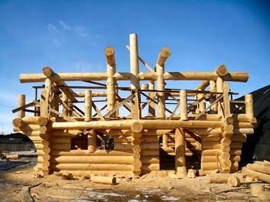 Utilizarea lemnului în construcții (lemn) Utilizarea lemnului în construcții