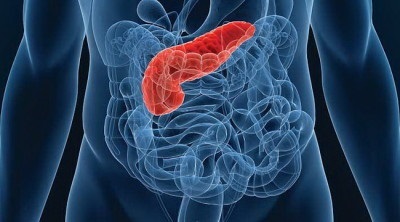 Produse ficat, pancreas utile și dăunătoare (util) ficat Products, pancreas, utile și dăunătoare