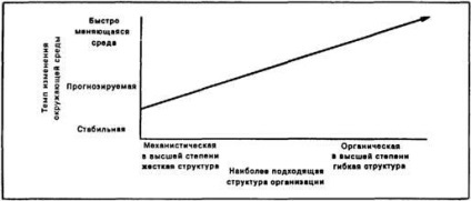 Organizarea proiectului (proiect) organizarea proiectului