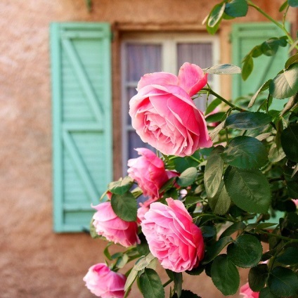 Provence, Franța Toate Provence, hoteluri, excursii, bilete de avion (Provence) Provence, Franța Toate Provence, hoteluri, excursii, bilete de avion