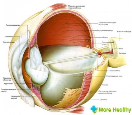 Cauzele retiniene de stratificare și consecințe (pachet) Stratificarea a retinei cauze și consecințe ale ochiului