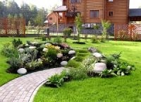 Plante de amenajare a teritoriului (plante) Plante de amenajare a teritoriului