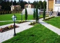 Plante de amenajare a teritoriului (peisaj) Plante de amenajare a teritoriului